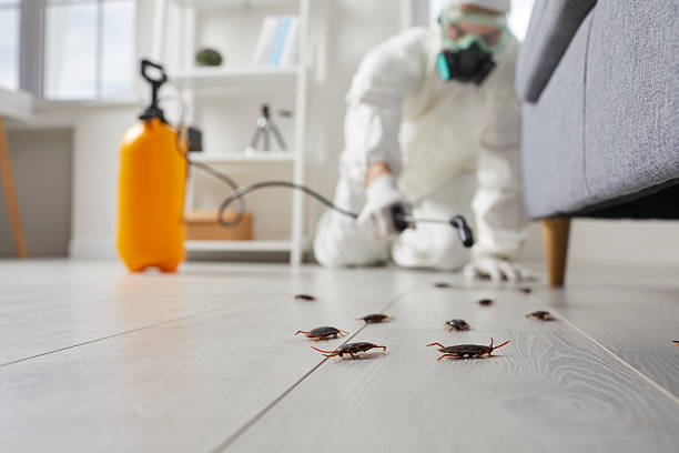Commercial Kitchen Cockroach Control in South Bend